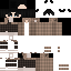 Texture for "t
