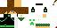 Texture for gabriel