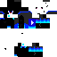 Texture for cat 2