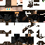 Texture for Troy