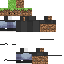 Texture for wollech