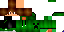 Texture for trh