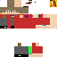 Texture for Steve