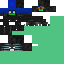 Texture for Smiling Wither