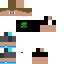 Texture for Linus1804