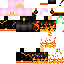 Texture for WildFIREb