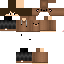 Texture for pulga _pUCKK