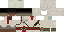 Texture for ninja