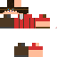 Texture for mechanic tc2 red
