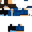 Texture for Steve
