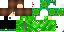 Texture for NYAN EN VERT WESH!!