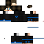 Texture for FlexLeo