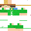 Texture for ImDerpTurtle