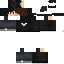 Texture for Ginossev1