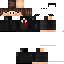 Texture for pintos craft