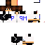 Texture for Minecraft/blog