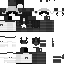Texture for lleonka1