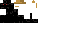 Texture for Crow