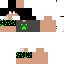 Texture for flagame1