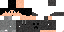 Texture for jak