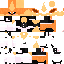 Texture for flareonmaidc