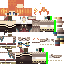 Texture for moom2