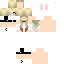 Texture for fox9