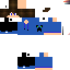 Texture for vblmc