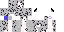 Texture for Snow Leopard