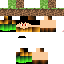 Texture for terra