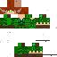 Texture for  taurus boy