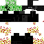 Texture for Creeper2015new02-dop