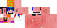 Texture for SuperPig