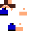 Texture for Steve