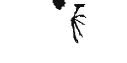 Texture for white sing