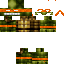 Texture for turtle