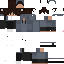 Texture for Leines