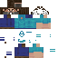 Texture for STEVE