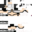 Texture for Apollo