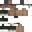Texture for steve