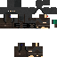 Texture for frdsf