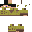 Texture for Armadillo
