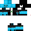 Texture for leo