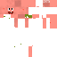 Texture for s