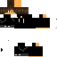 Texture for vincent2