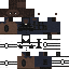 Texture for Survivor5