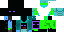 Texture for ender swag