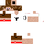 Texture for steve