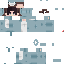 Texture for felixdolphin