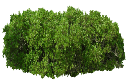 Texture for dsdsds